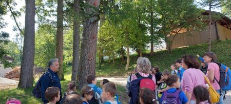 Prof. Leon Kernel med razlago otrokom iz OŠ Trebče iz zamejstva